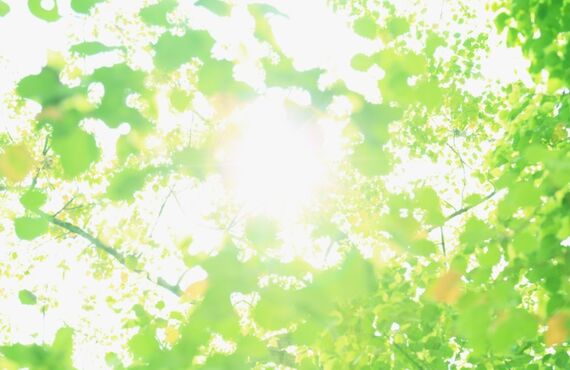 シングルマザーの方。再婚という選択肢。 結婚相談所をお探しの方へ